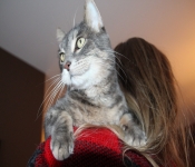 2014 Thanksgiving 091